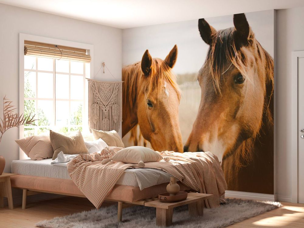 Twee paarden