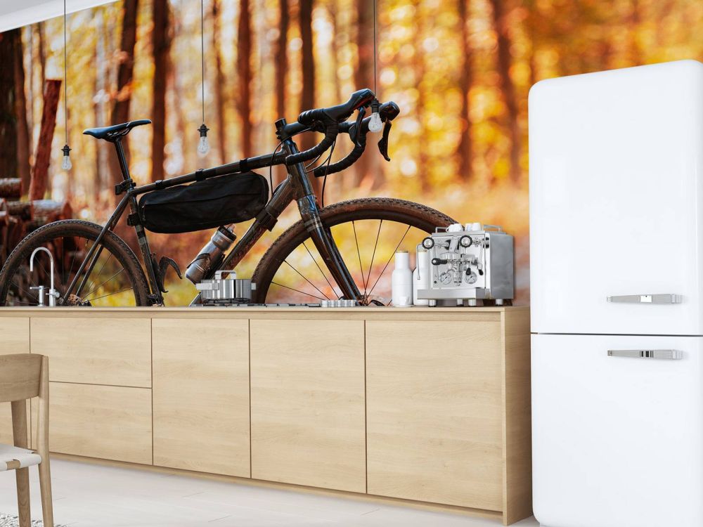 Fiets in de herfst