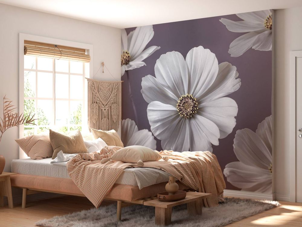 Cosmos bloemen