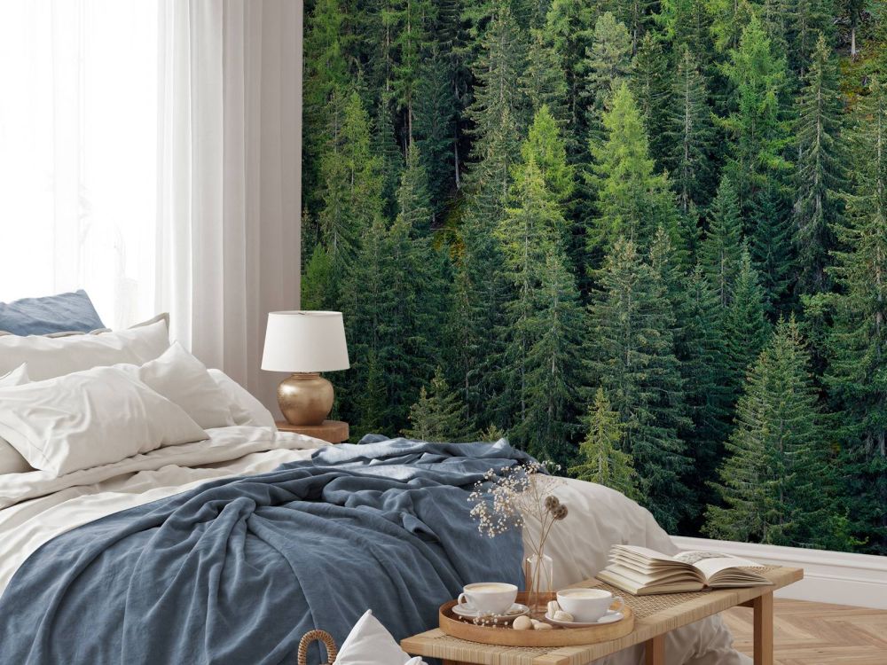 Groen sparrenbos