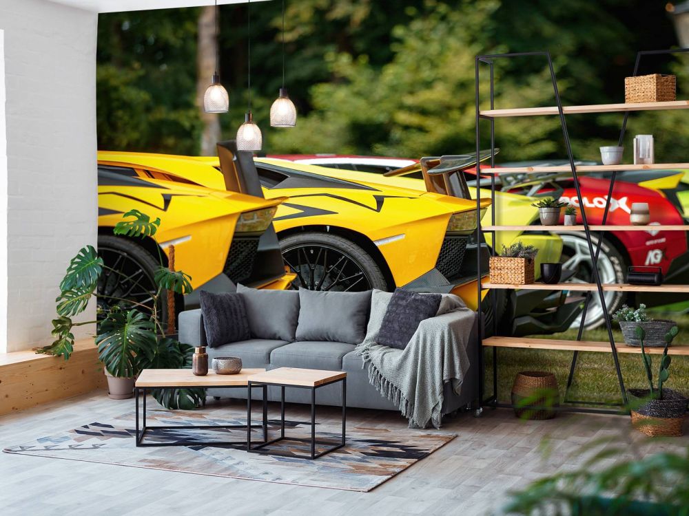Supercar collectie iIn natuur