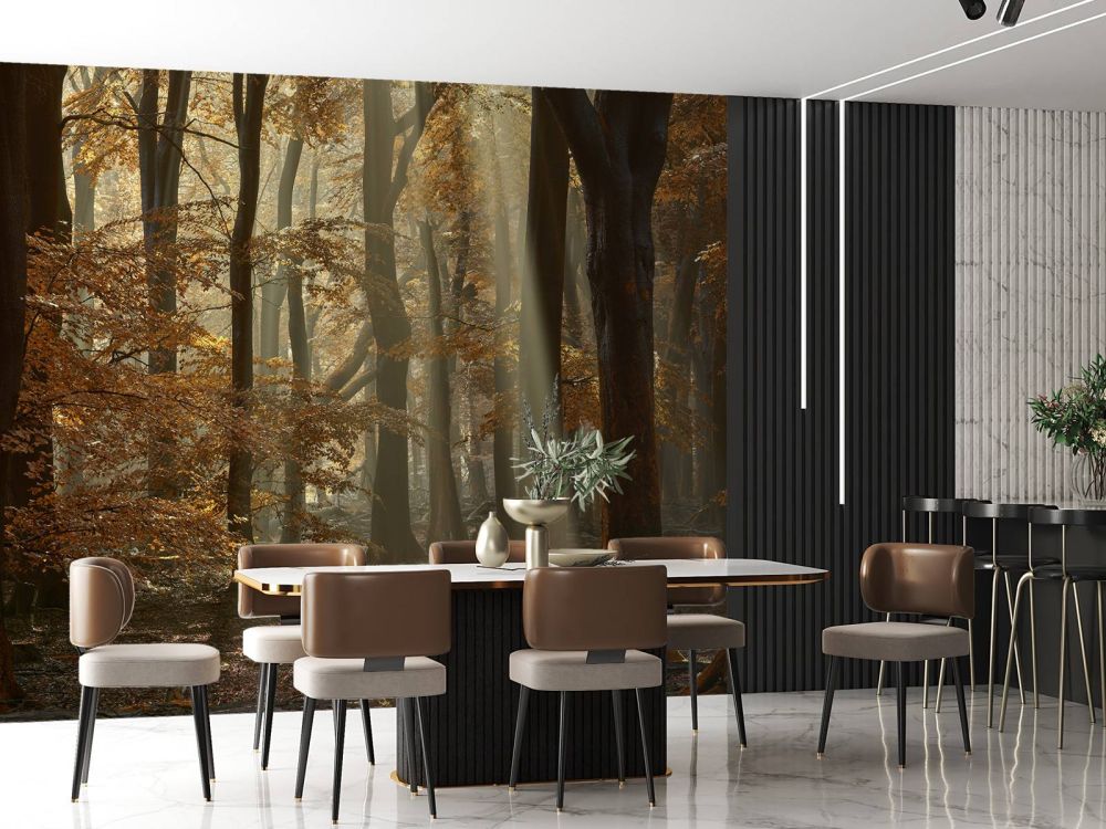 Herfstkleuren in het bos