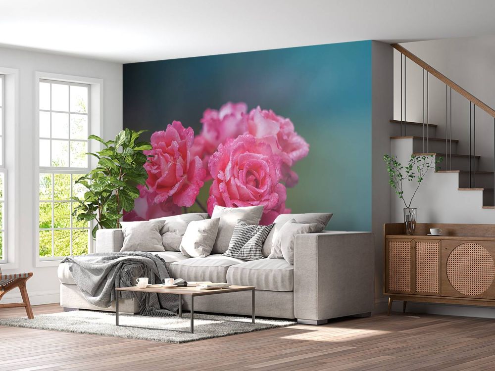 Roze rozentak