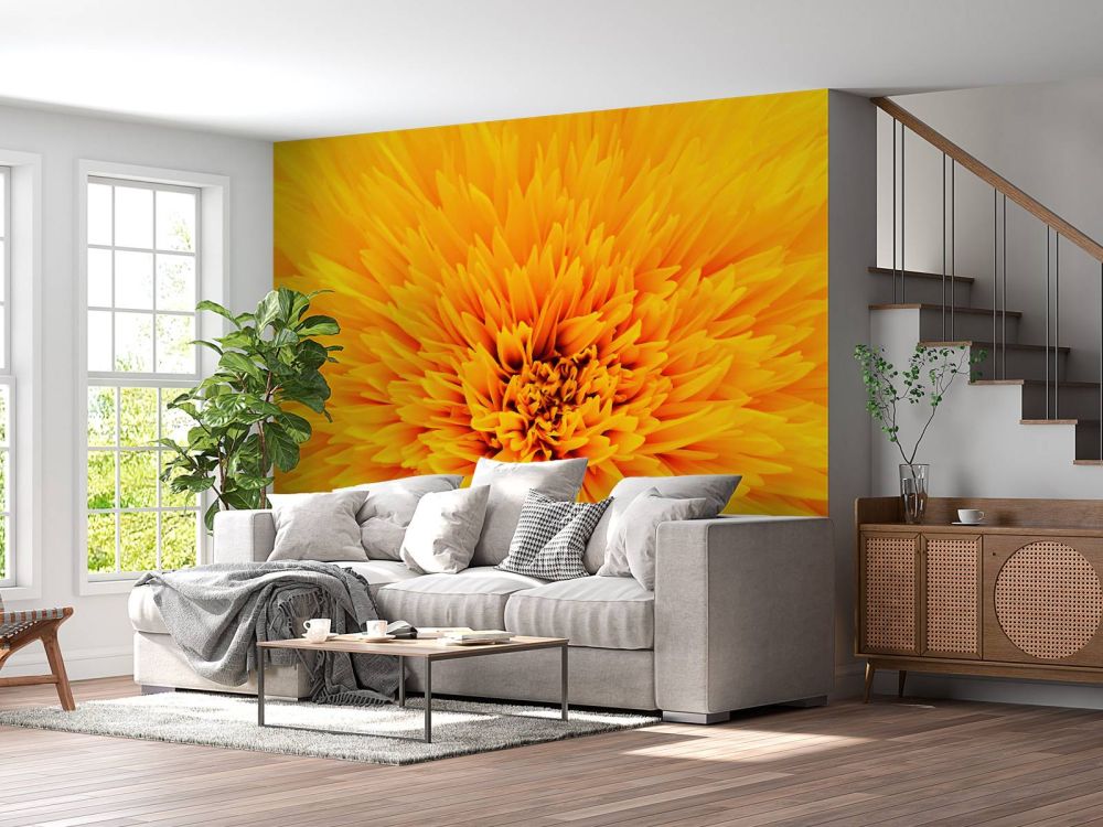 Gele bloem
