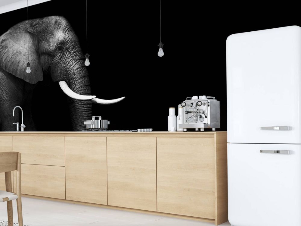 Olifant op gras