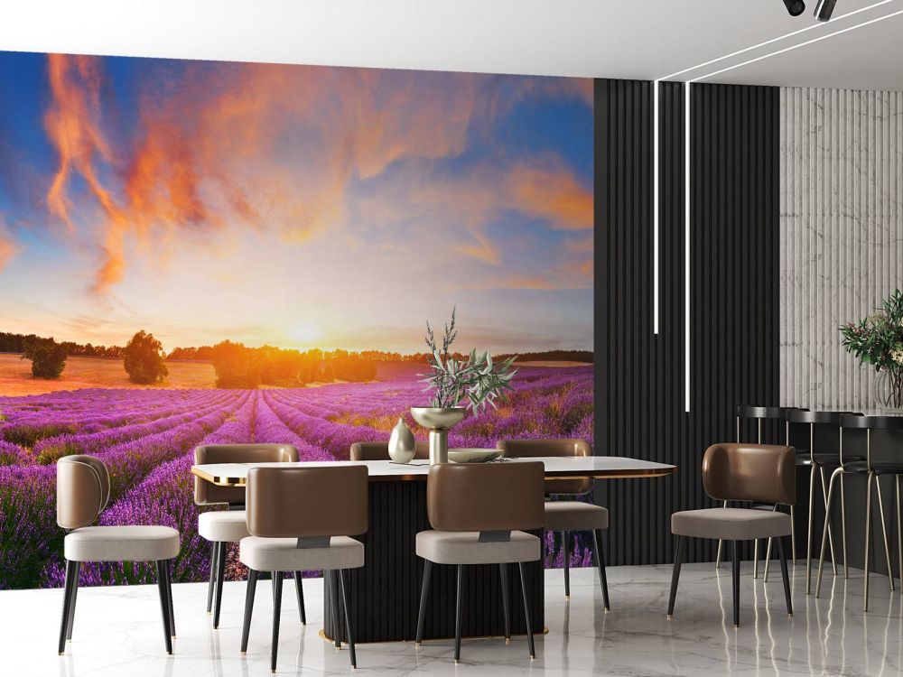 Lavendel Veld op fotobehang