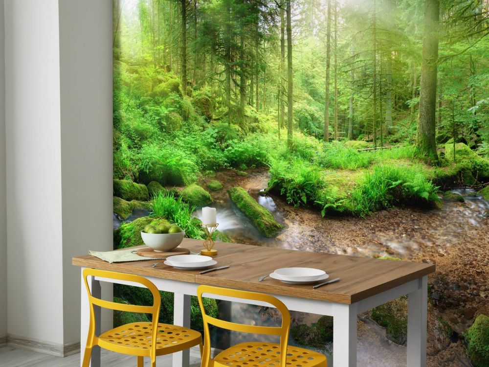 Betoverend boslandschap