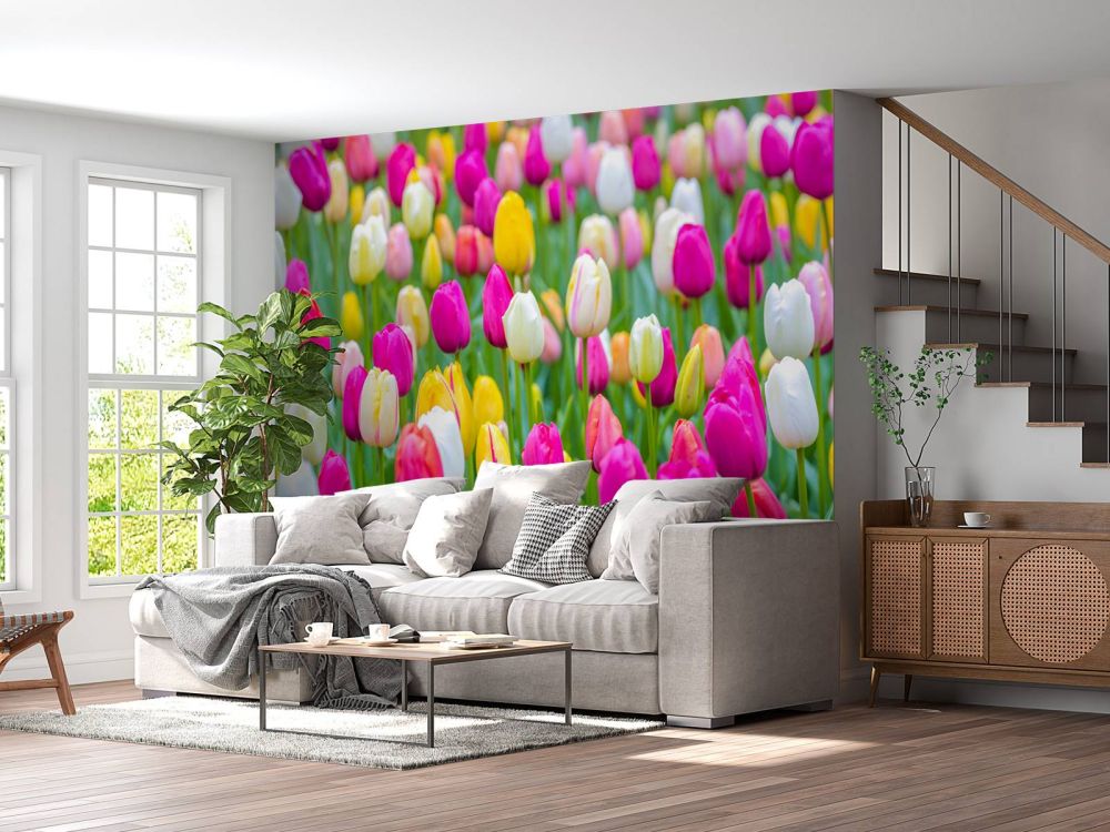 Kleurrijke tulpen in een veld