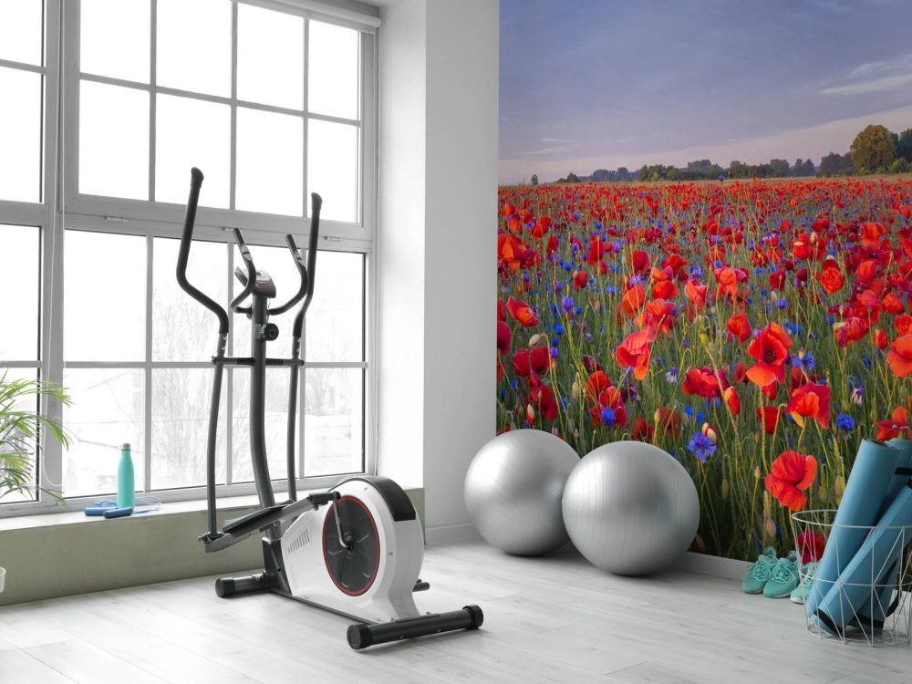 Blauwe bloemen en rode Klaprozen