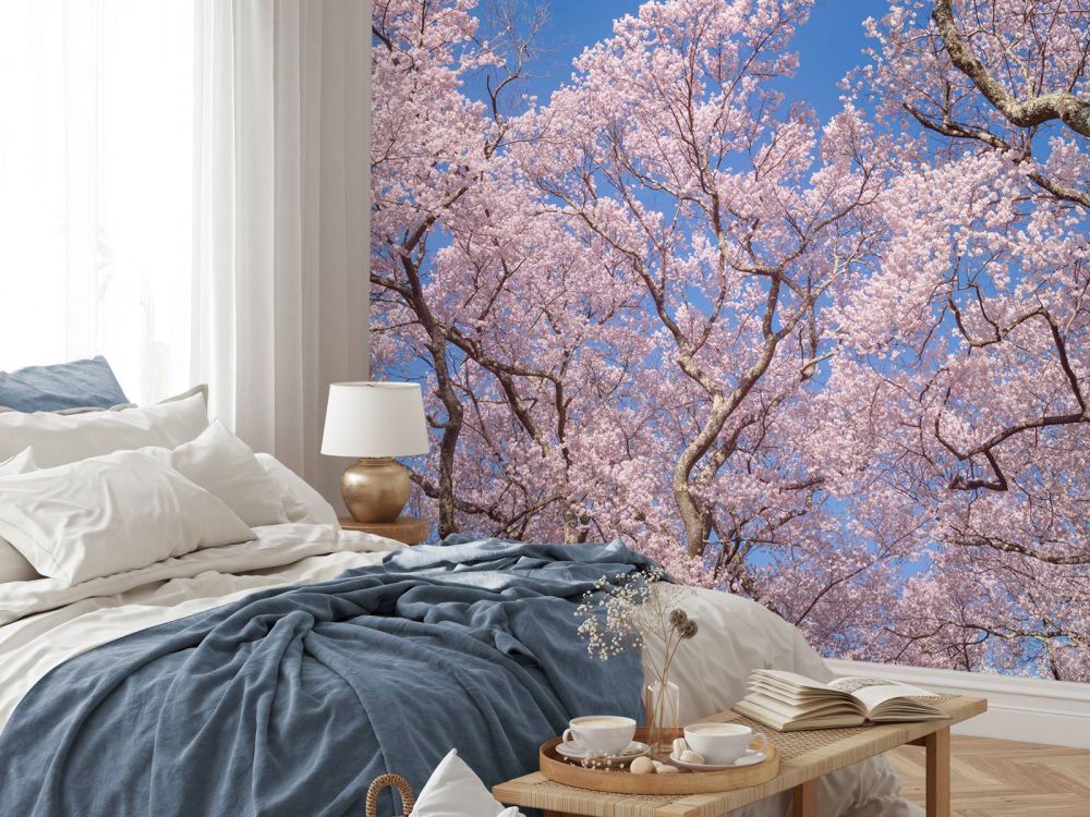 Bloesems met blauwe lucht