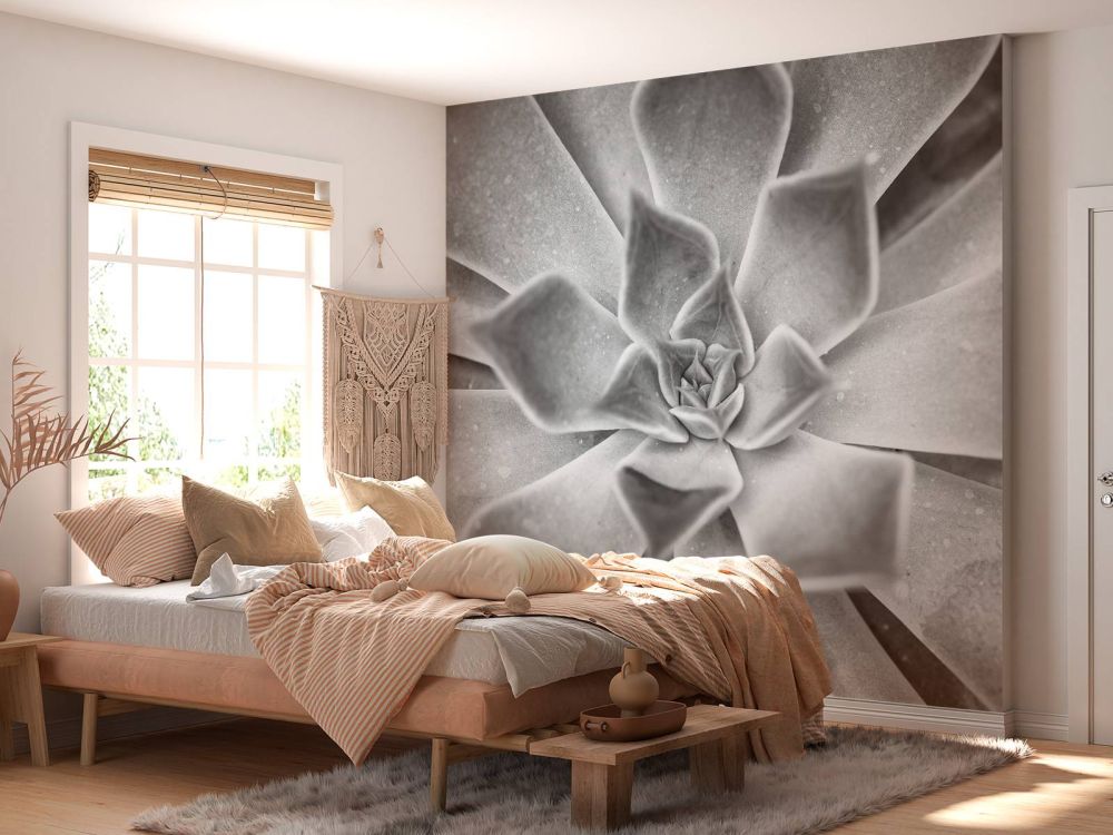 Vetplant in zwart wit