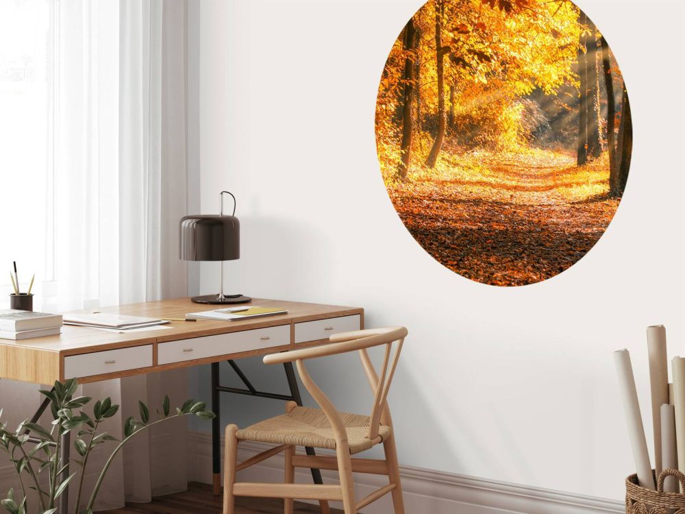 Panorama in de herfst