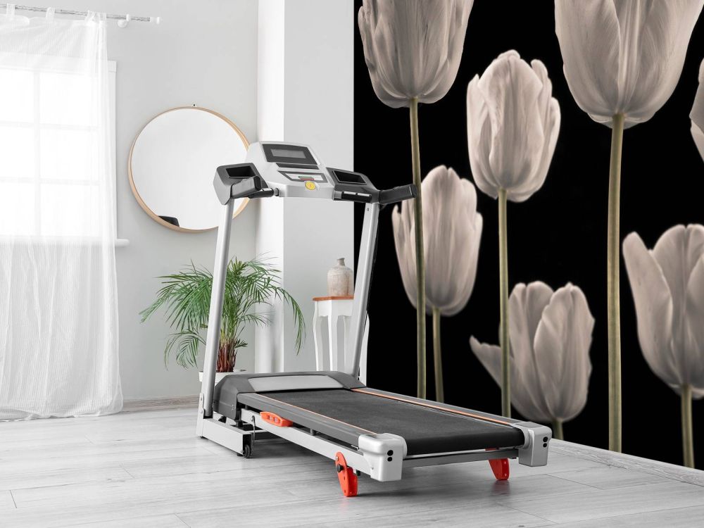 Verschilende tulpen