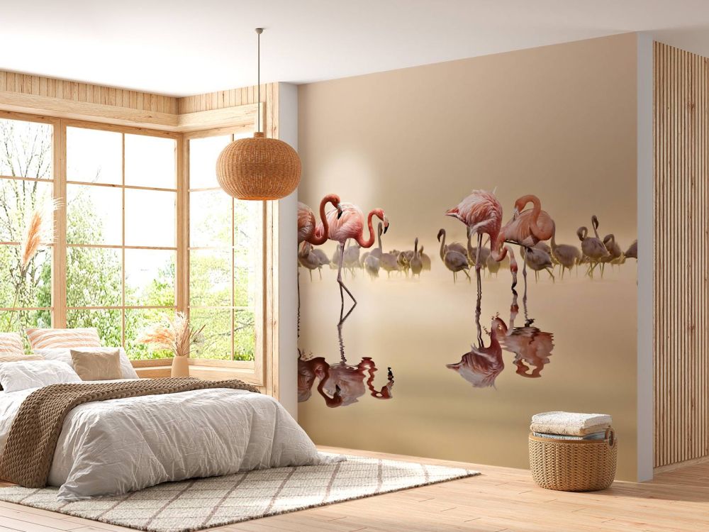 Flamingo Family