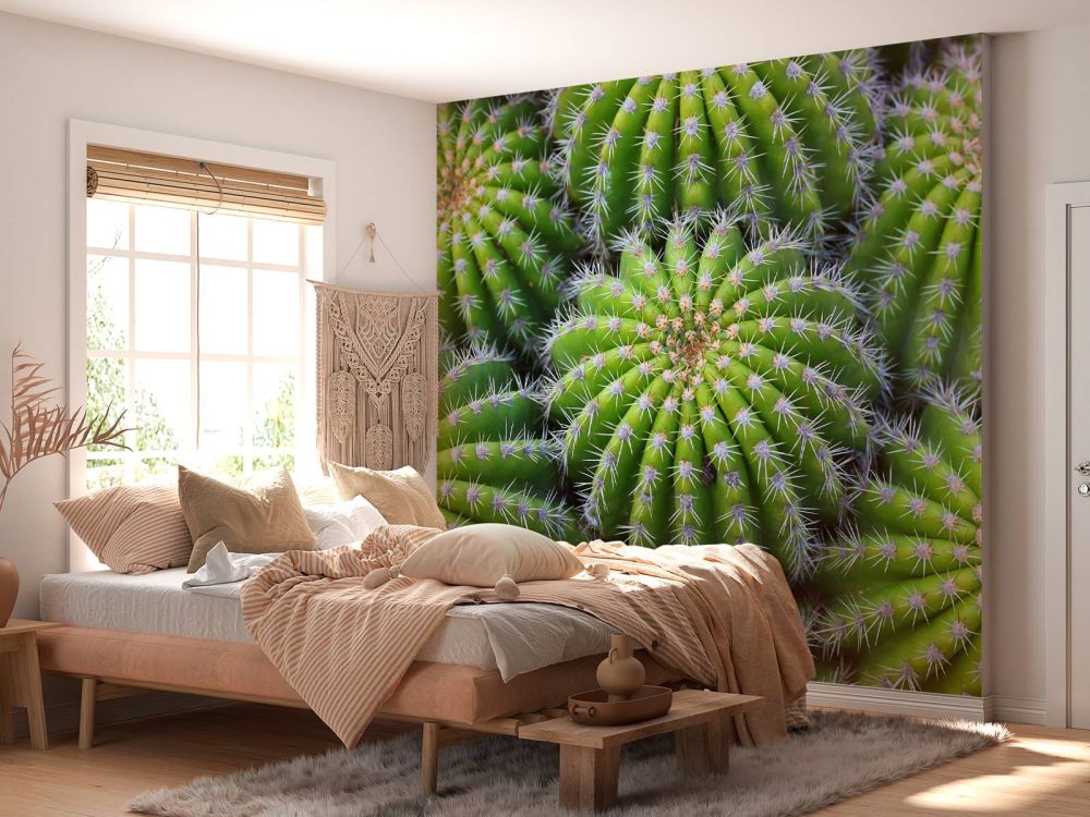Cactussen