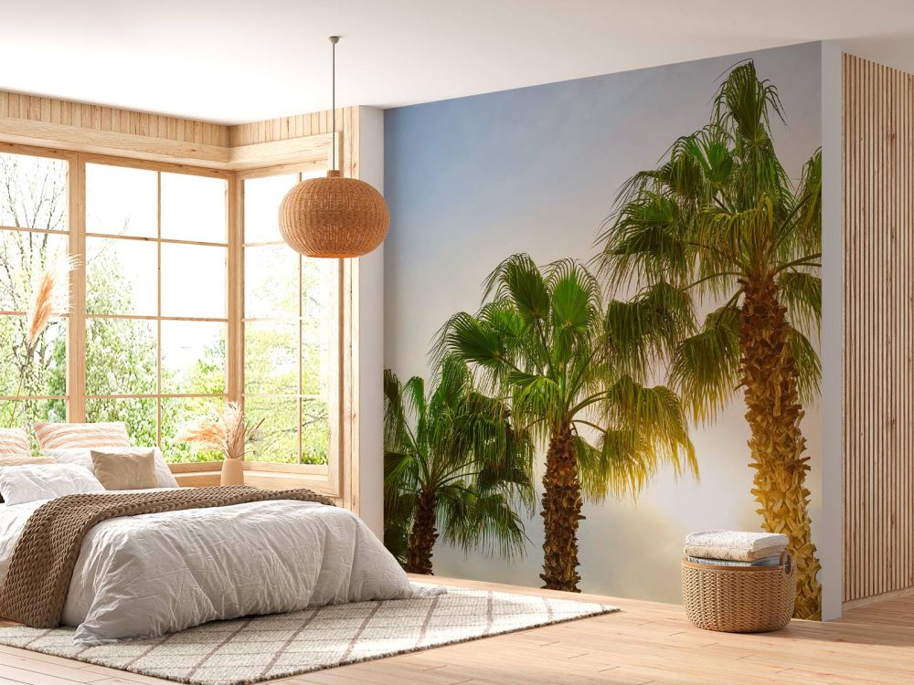 Palmbomen met zon