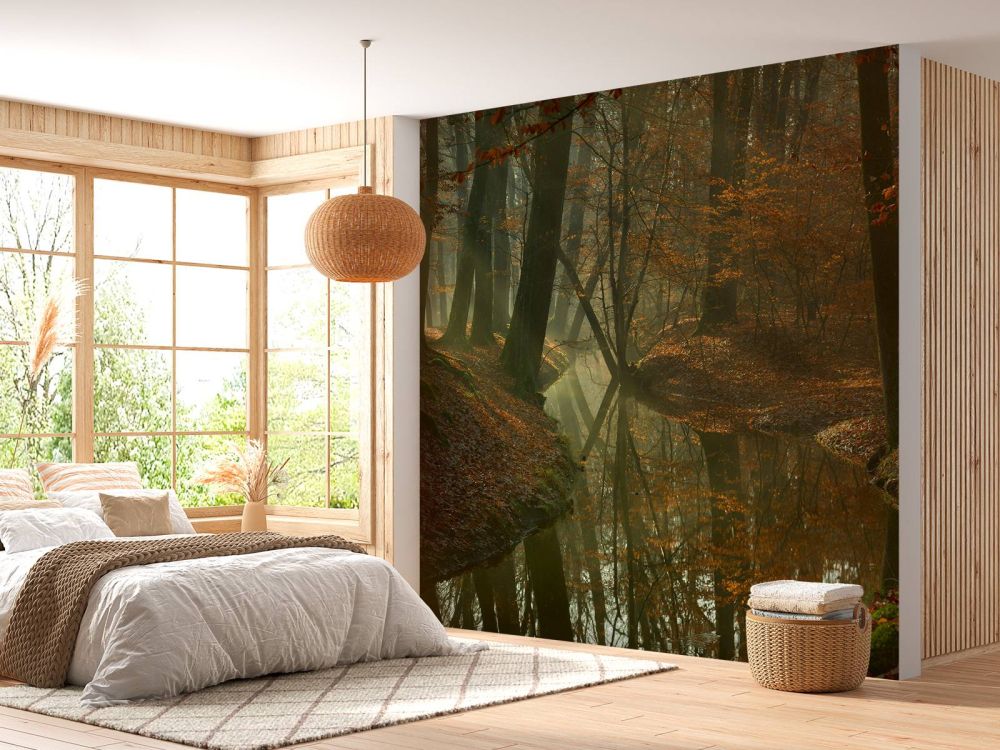 Beek door het bos