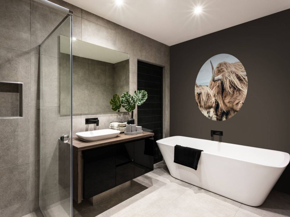 Twee Schotse hooglanders