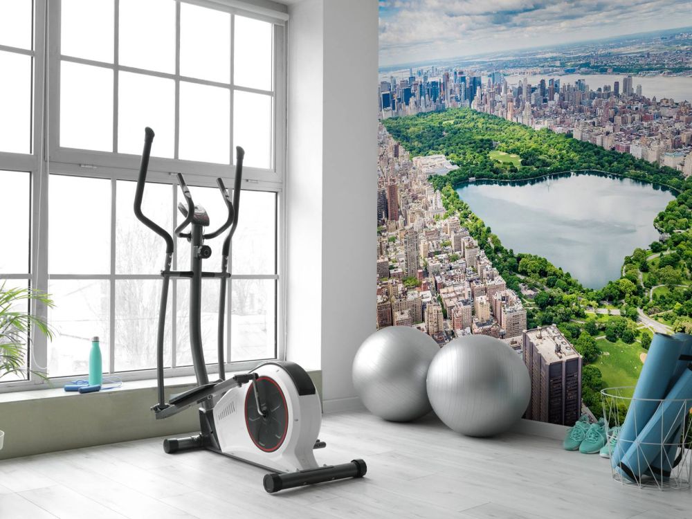 Skyline met Central Park