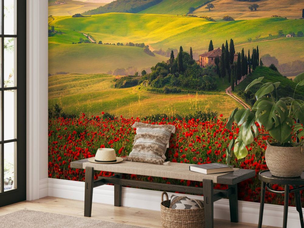 Rode klaprozen met Italiaans landschap