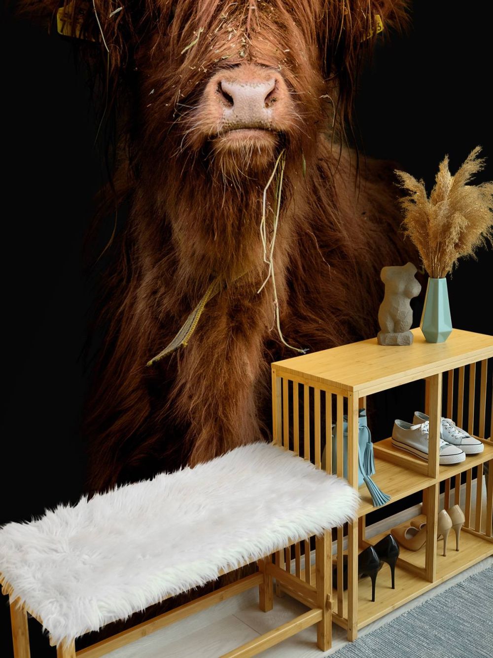 Portret Schotse hooglander