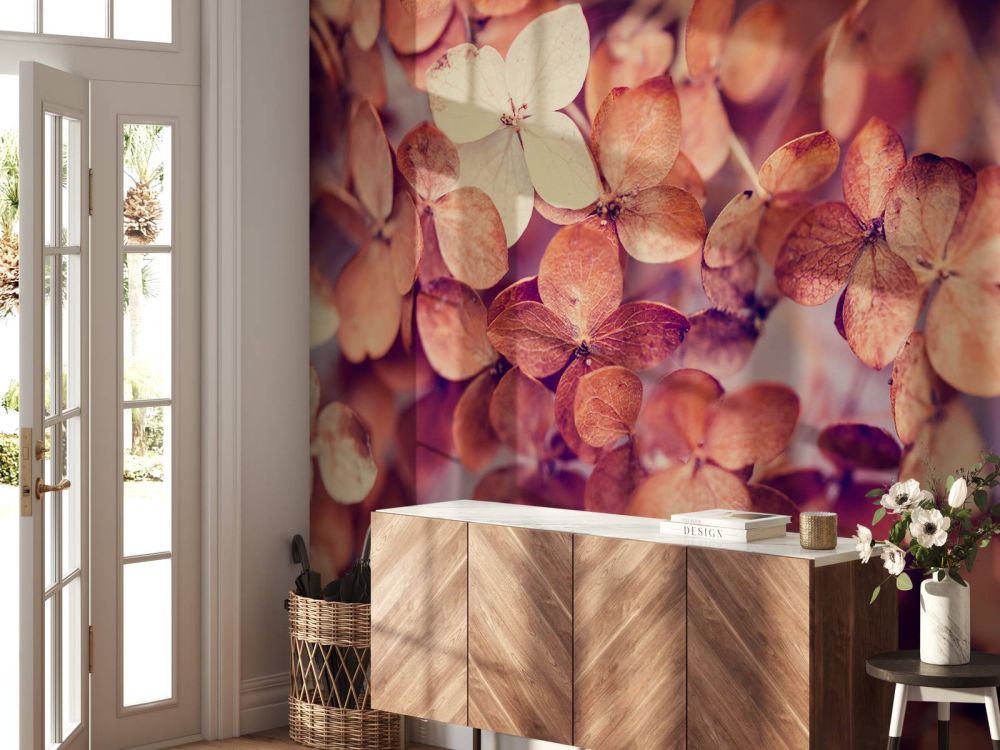 Droge hortensia's