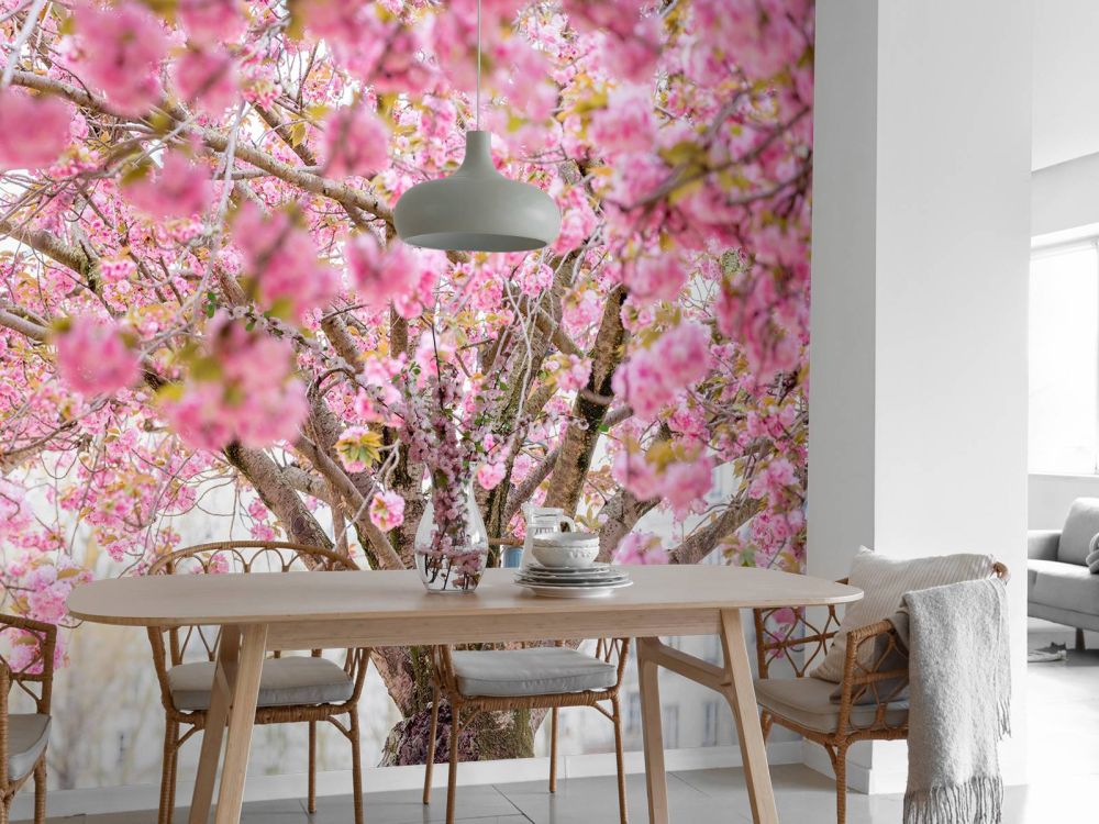 Bloesemboom