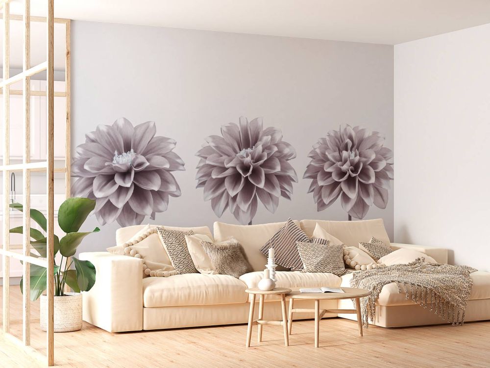 Dahlia's