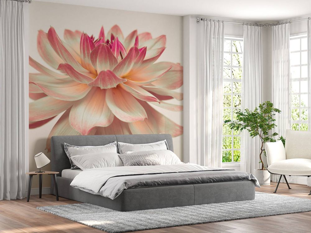 Dahlia bloem