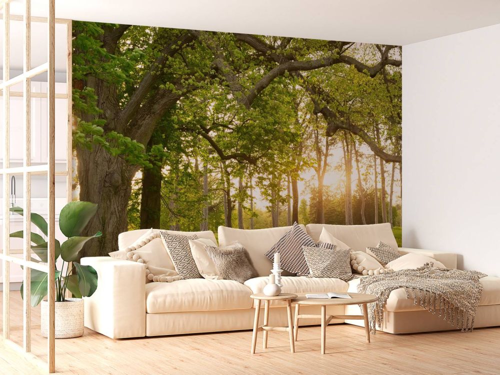 Fotobehang van een open plek in het bos