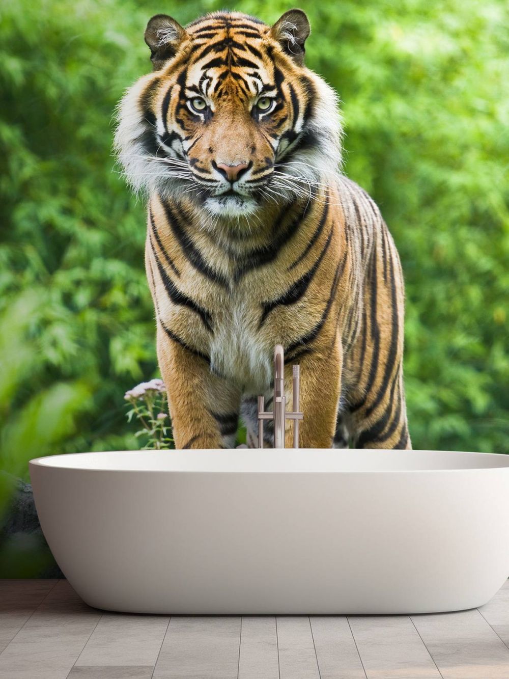 Tijger die op een steen staat