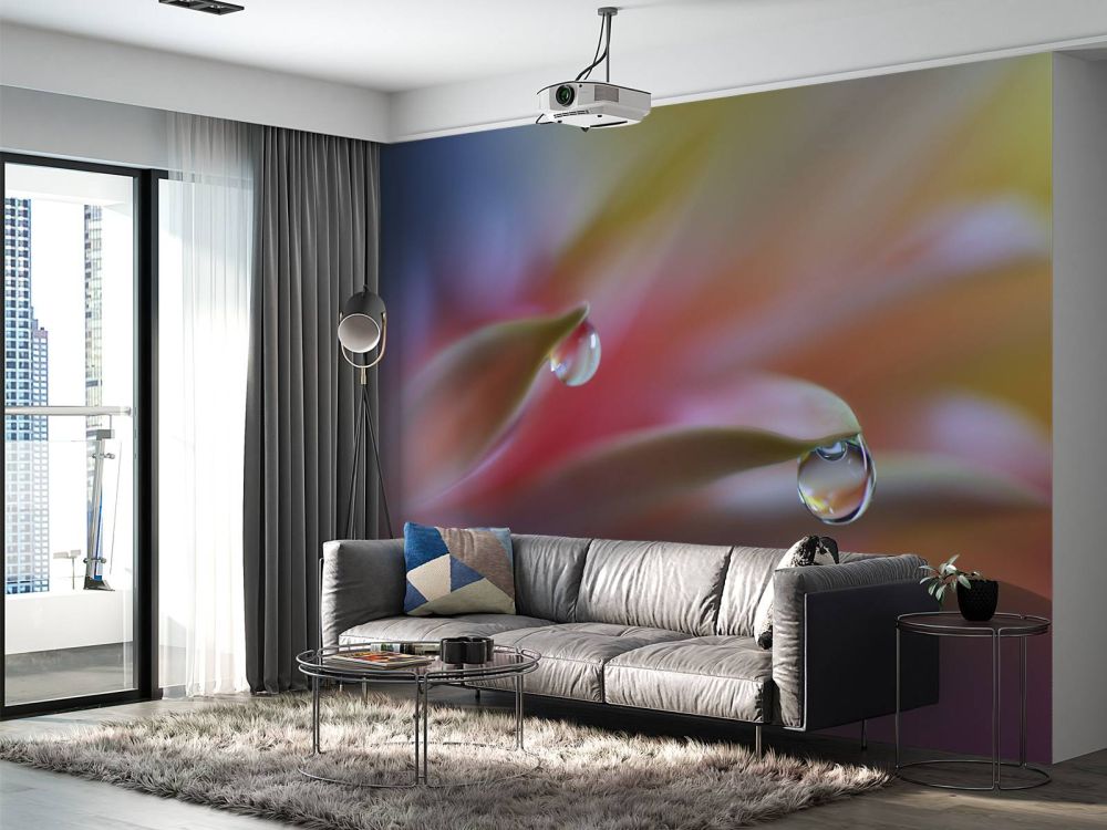 Sound Of Colors...