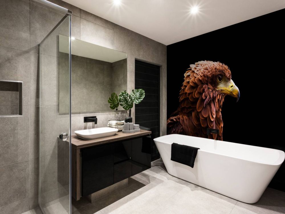 Roman Hawk