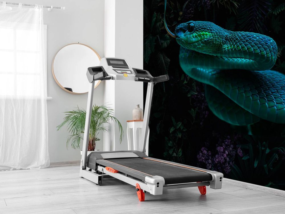Jungle Snake