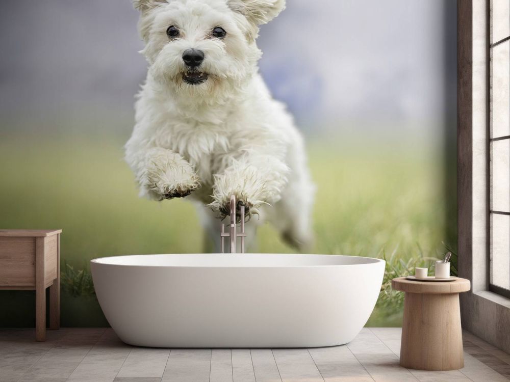 Rennende hond