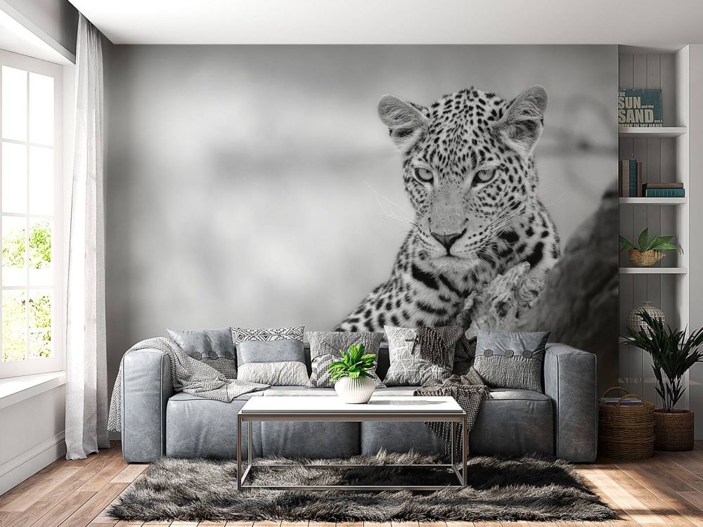 Luipaard zwart, wit