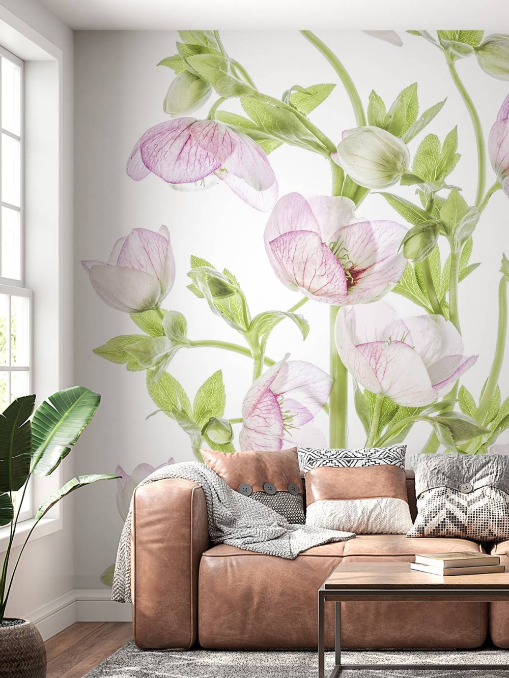 Hellebore