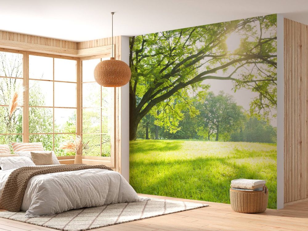 Prachtige boom met groen gras