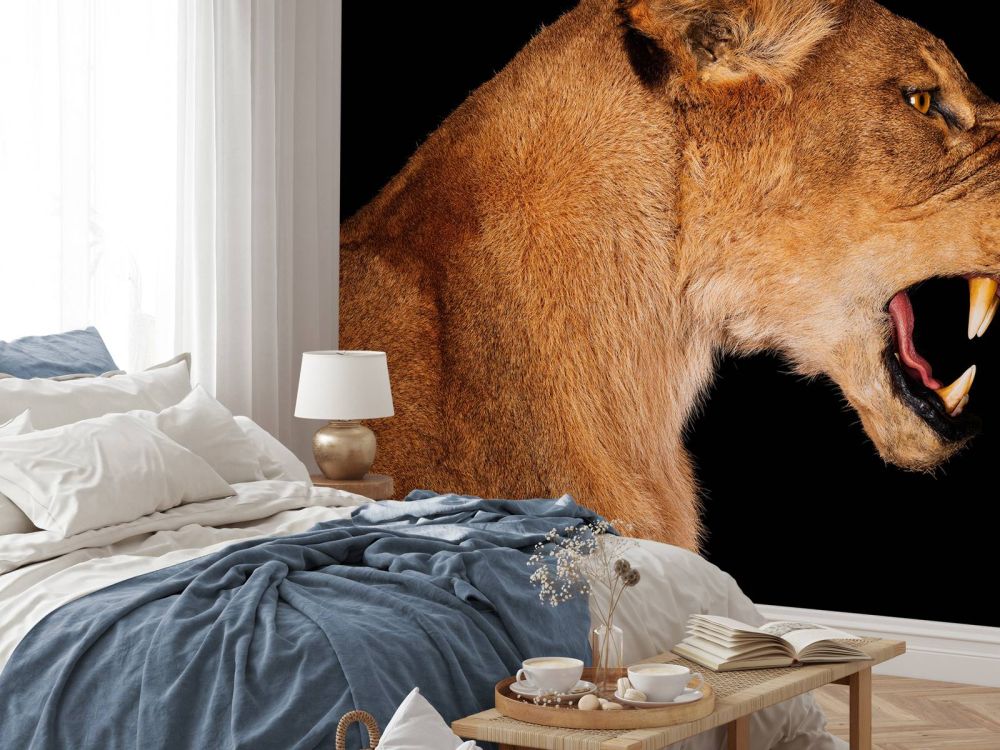 Lioness side view