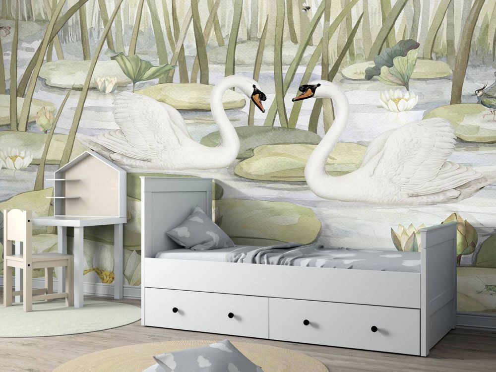 Spectacular Swans