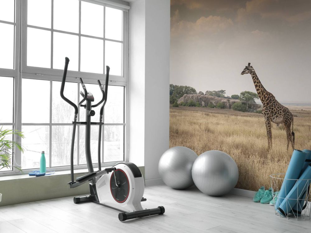 Giraffe op een savanne