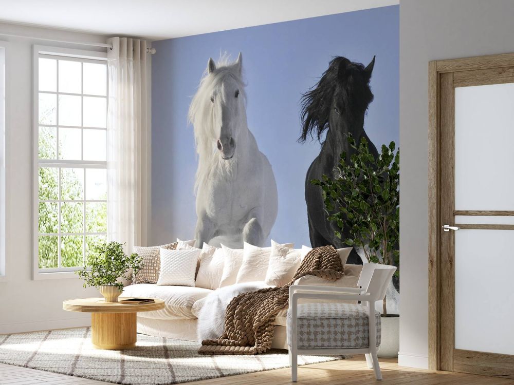 Wit en een zwart paard