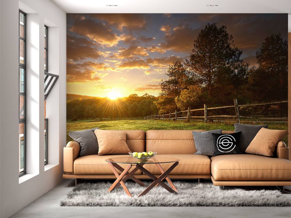 Weiland met zonsondergang