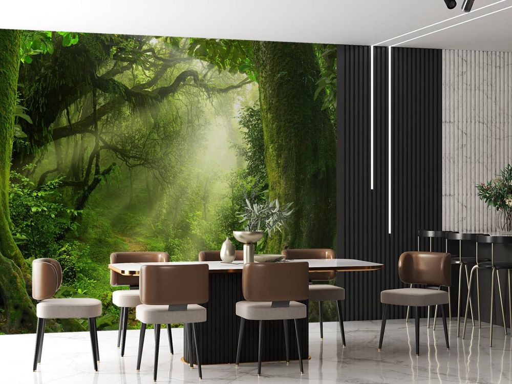 Jungle met zonnestralen