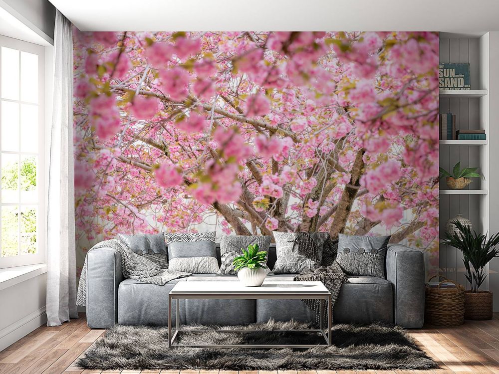Bloesemboom