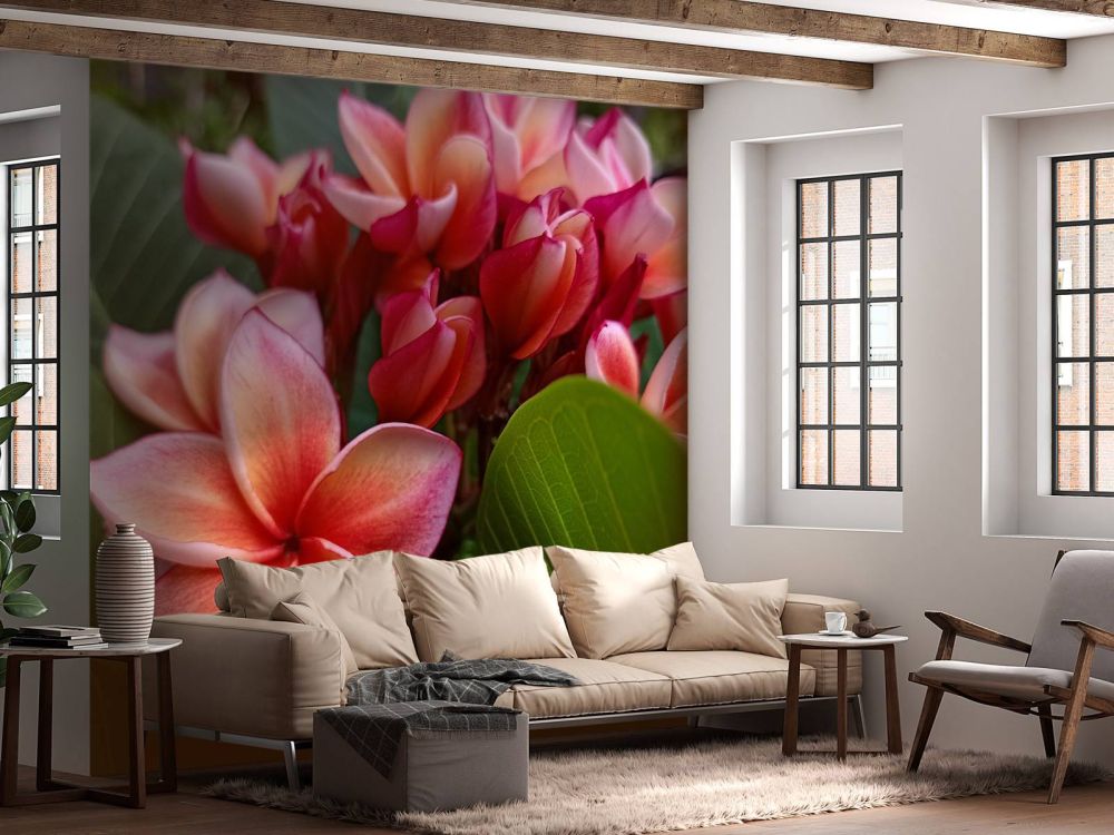 Tropische bloemen