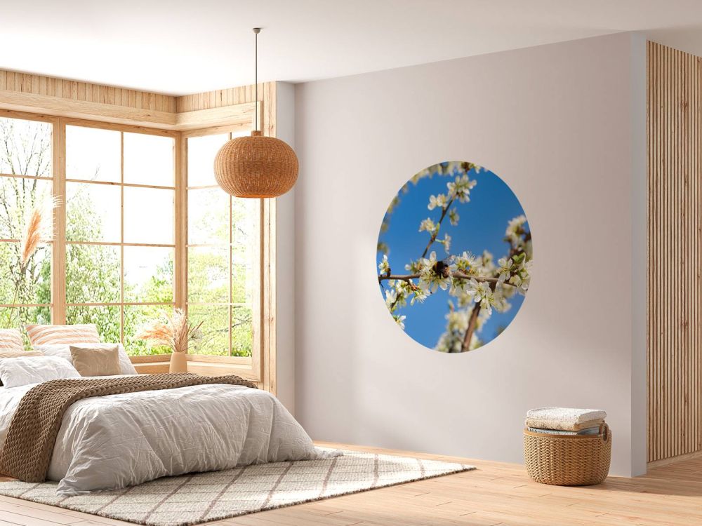 Hommel met witte bloesems