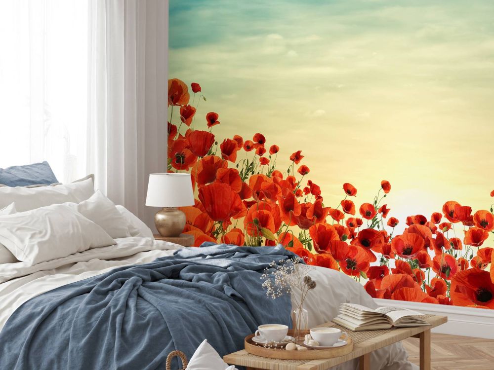 Klaprozen met zonsondergang