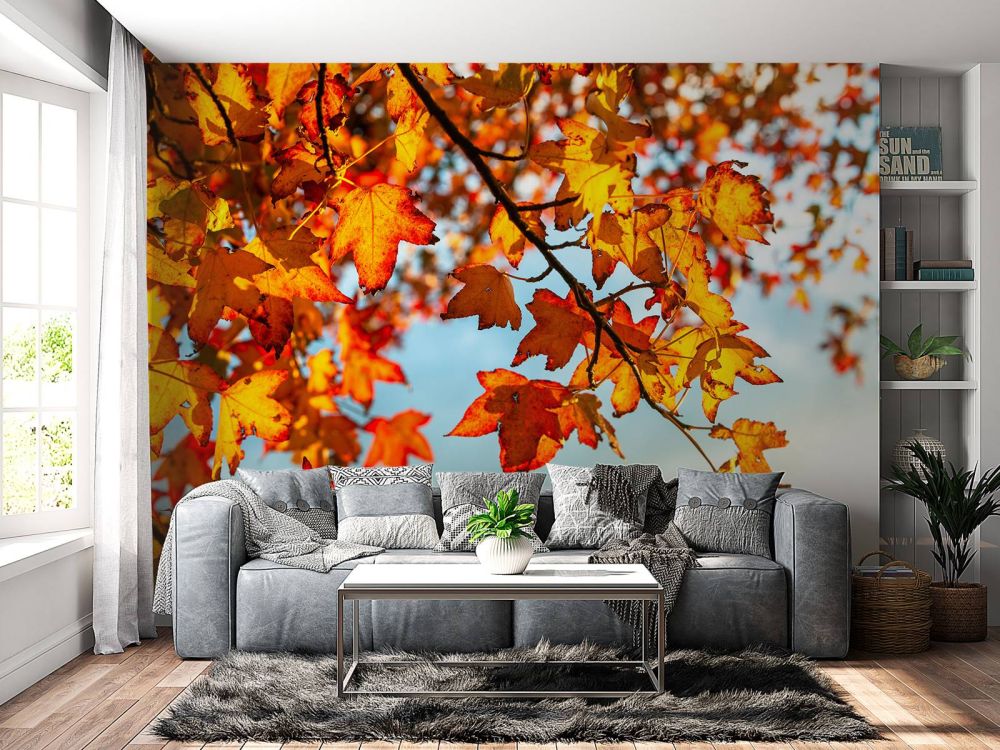 Herfst bladeren