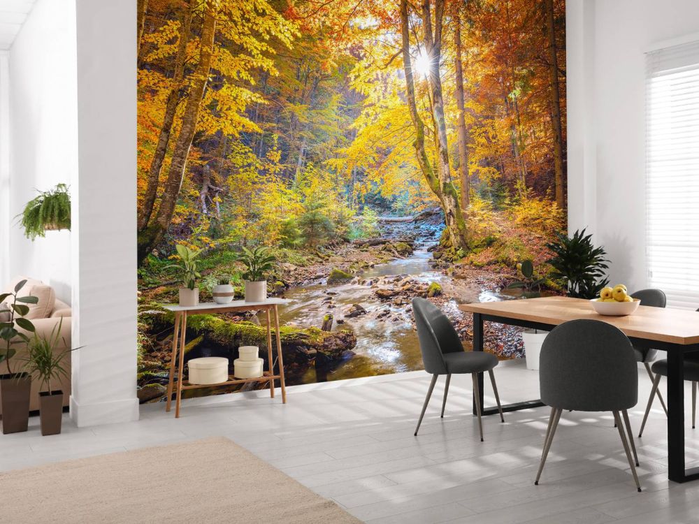 Herfst in wild bos